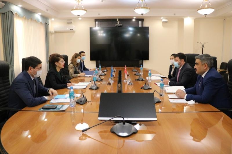 Kazakistan Enformasyon Bakanı Aida Balayeva ile görüşme 27/11/2020                                            